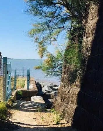 Acces Direct A La Mer Ronce Les Bains La Tremblade